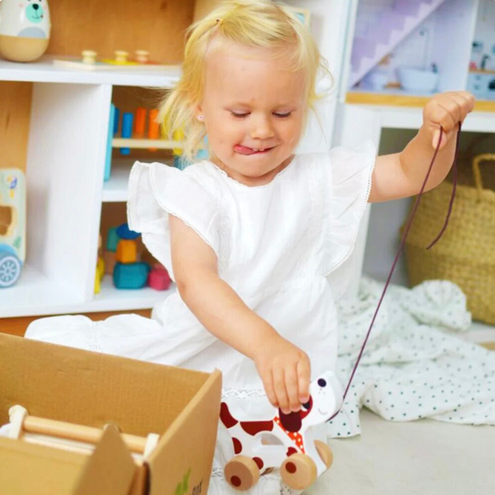 Montessori-leikkisetti taaperoille 19–24 kuukautta