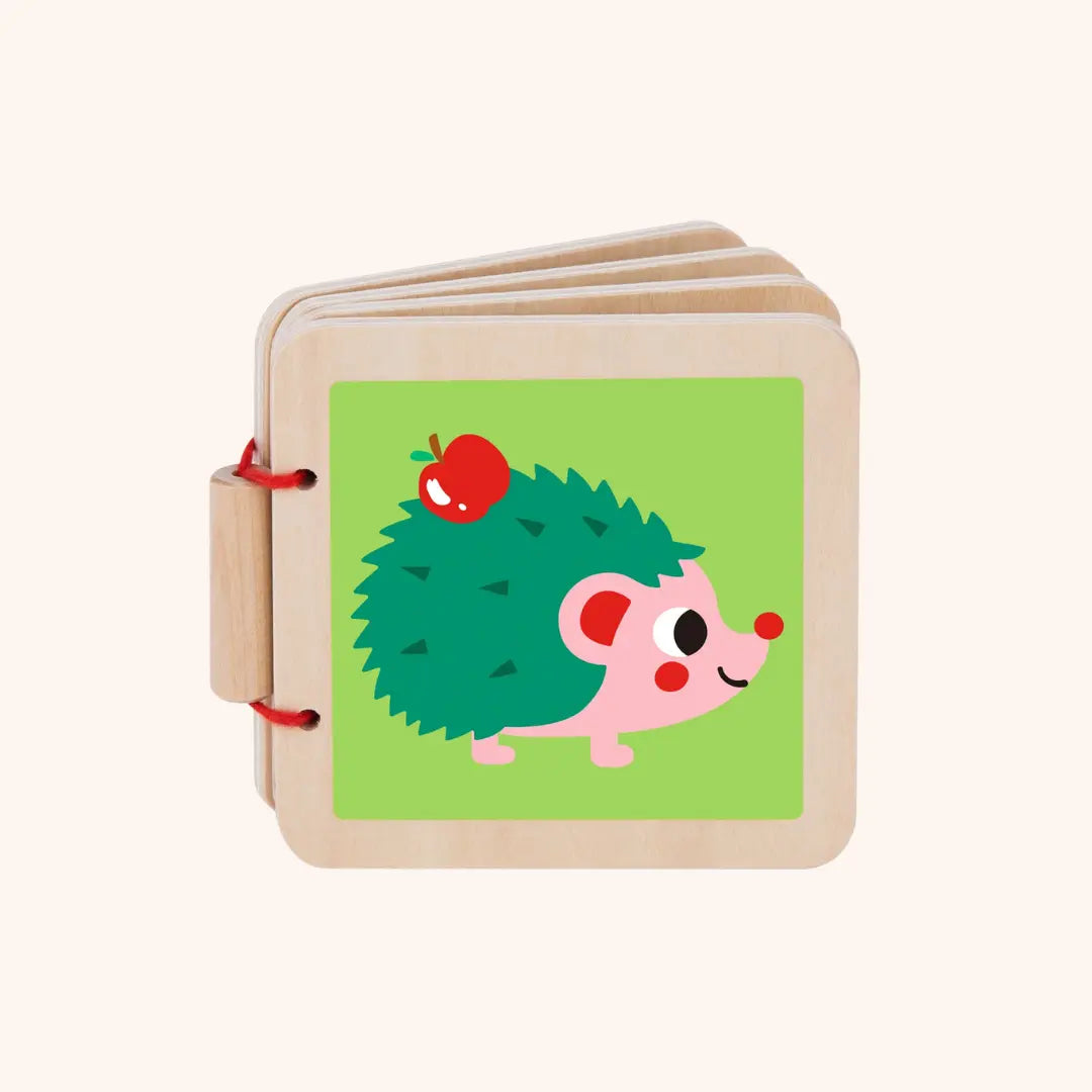 Montessori Toddlers Play Kit 7-12 months